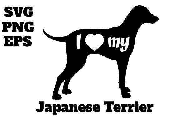 Japanese Terrier: A Designer’s Review for Real Projects