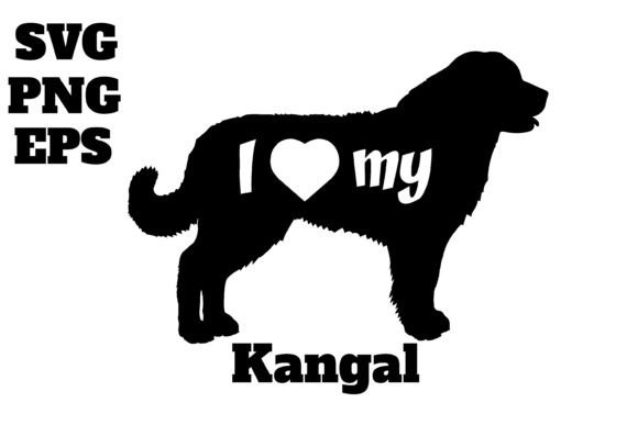 Kangal: A Silhouette That Demands Respect in Embroidery