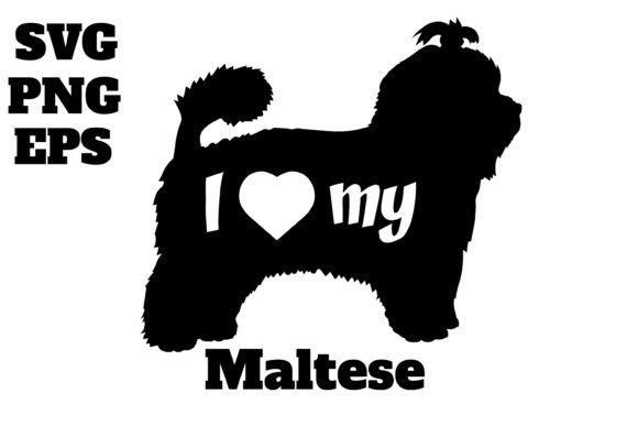 Maltese Dog: A Designer’s Review of This Embroidery-Ready Graphic